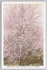Apple Blossom Time Virginia Blooming Tree Pink Blossoms 1930s Vintage Postcard picture