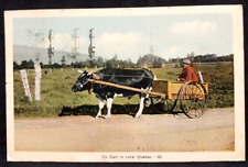 Postcard CANADA 1939 Ox Cart in Rural Quebec Cows Road Man picture