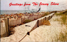 VTG Postcard, Greetings from the Jersey Shore, Beach Scene, Postmarked 1972 picture