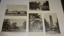 Lot of 5 UK LONDON Kew Gardens Chinese Pagoda & Palace Vintage Postcard 1920s picture