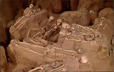 Havana Illinois Dickson Mounds State Memorial skeletons graves vintage postcard picture