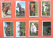 TRUCARDS - ANIMALS - 1972 - SET OF 30 - VG picture