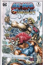 He-Man Thundercats #1 DC Comics 2016 Williams NEW NM B&B Combined Shipping picture
