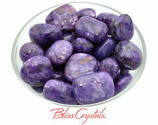 1 CHAROITE Tumbled Stone, Rare Grade A, Healing Crystal and Stone #CT37 picture