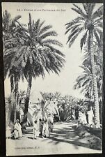 Postcard - Entrance to a Palm Grove, 1920 picture