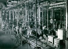 1953 Fiat  assembly lines - Mirafiori factory - Vintage Photograph 3445733 picture