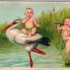 c1900s Cute Baby on Stork Playing Flute Music Instrument Postcard Embossed A80 picture