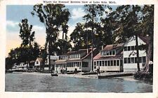 Summer Homes Shoreline Lake Side Lakeside Michigan 1918 postcard picture