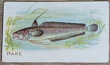 1910 T58 American Tobacco Fish Series Hake picture