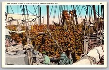 Sponge Fleet Catch Tarpon Springs Florida Sailboats Linen Vintage UNP Postcard picture