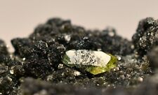 137GM Collector Titanite (Sphene) Combine Black Mica Crystals On Matrix Specimen picture