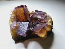 Cave In Rock Illinois Fluorite Crystal Specimen - Yellow + Purple Phantom Layers picture