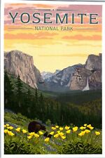 Yosemite National Park California Bears & Spring Flowers Poppies postcard picture