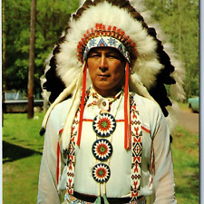 c1970s Dubuque, IA Greetings From Indian Chief Modern Native American PC A234 picture