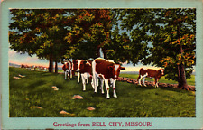 A Holstein Cow Greetings from Bell City Missouri MO Vintage c. 1940's Postcard picture