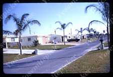sl74 Original slide 1968 Kodachrome residential street station wagon car 576a picture