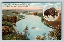 Starved Rock IL-Illinois, View From Top Of Starved Rock Vintage Postcard picture