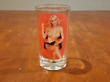 Vintage Sip N Strip Nude Peek-a-Boo Girl Drinking Glass picture