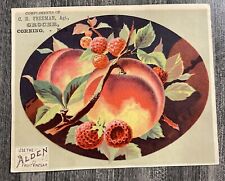 Alden Fruit Vinegar Advertising Trade Card Corning, NY C.H. Freeman picture