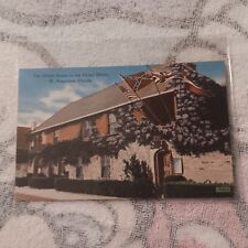 Oldest House In USA St Augustine Florida Vintage Postcard picture