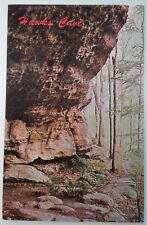 Illinois Postcard Mid 1900s Rare Hawks Cave Fern Clyde Park Goreville picture