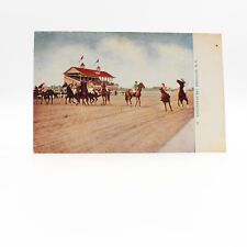 Brooklyn, NY New York  SHEEPSHEAD BAY Horses~Race Track~Racing ca1910's Postcard picture