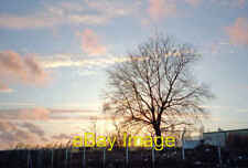 Photo 6x4 Boundary Fence of Industrial Area backing on to River Lea Brims c2000 picture