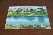 Rare Vintage Antique Postcard Greetings From Esopus New York Ducks Apple Blooms picture