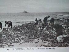Wimereux France Antique Postcard Early 1900s Rare Mussels Women Beach Fashion  picture