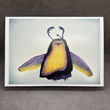 Inuit Art From Cape Dorse OHOTAG MIKKIGAK “Owl Incognito” Unused Greeting Card picture