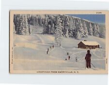 Postcard Skiing Scene Greetings from Barryville New York USA picture