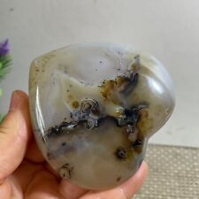TOP  194g Natural Polished Aquatic Plants Agate Crystal Madagascar h111 picture