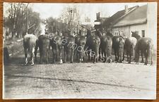 Antique RPPC Horses Rear End Lined Up Ready To Go To Market Real Photo Postcard picture