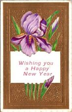 Vintage Happy New Year Wish Embossed Postcard Posted 1910 picture