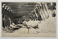 Postcard In The Snow Sheds Railroadiana Train picture
