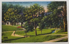 Postcard Central Park in Petersburg Virginia Unposted picture