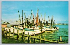 Postcard Coral Clipper Shrimp Boats Fort Myers Beach Florida picture