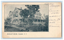 c1900s Mongaup House, Ferndale New York NY PMC Unposted Antique Postcard picture