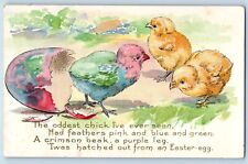 Easter Postcard Hatched Egg Baby Chicks Colorful Embossed c1910's Antique picture