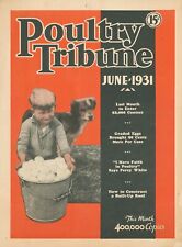 1931 June Poultry Tribune Chicken Farm Eggs Coop Chicks Advertising Magazine USA picture