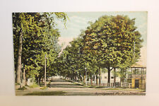 Postcard Norridgewock ME Main Street picture