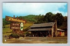 Roan Mountain TN-Tennessee, Rhododendron Gift Shop Advertising, Vintage Postcard picture