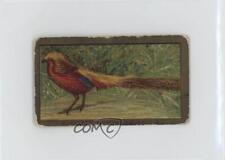 1910 ATC Bird Series T43 Sweet Caporal Golden Pheasant 7xr picture