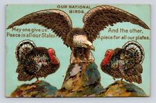 Antique Embossed Postcard OUR NATIONAL BIRDS Eagle Turkey Peace Warren PA 1909 picture