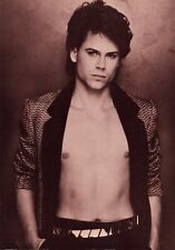 Young Rob Lowe Movie TV Actor Open Shirt Bare Chest Nipples Vintage 80s Postcard picture