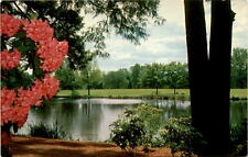 Vintage 1969 Rhododendrons Postcard Eastmoreland Park Portland OR picture
