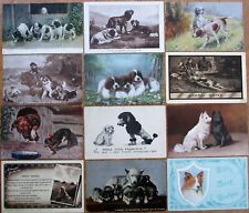 Dog/Dogs/Puppy SET OF SIXTY-SIX 1905-1920 Postcards - Puppies - Collection picture
