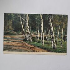 Forest Park St. Louis Missouri MO Dirt Trail Road Vintage Postcard picture