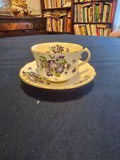 Old Royal Bone China Tea Cup and Saucer Set picture
