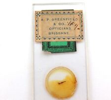 .1890s “FLY’S SUCKER” MICROSCOPE SLIDE. A P GREENFIELD, BRISBANE. picture